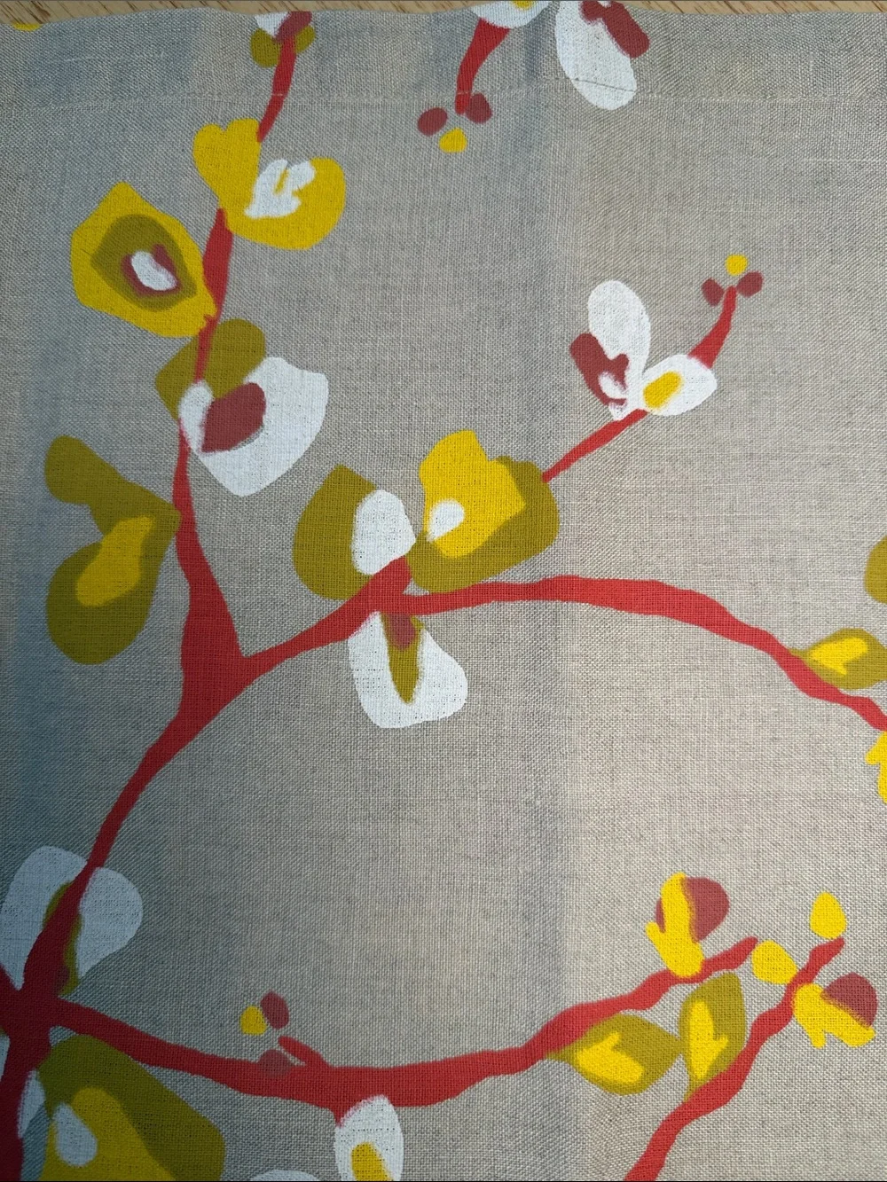 Crate & Barrel Camilla Napkin (6)